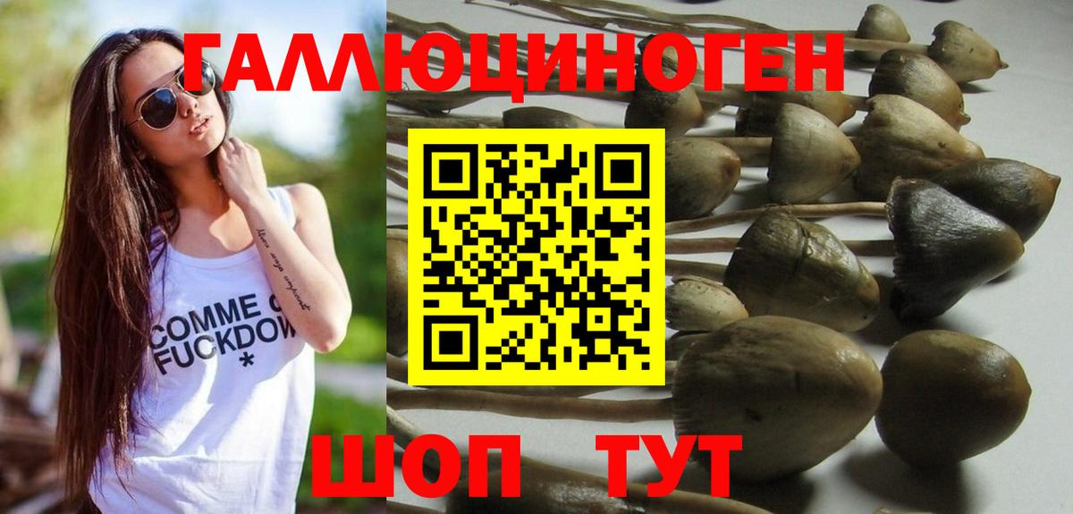 Солнечногорск  Галлюциногенные грибы Magic Shrooms  Галлюциногенные грибы Magic Shrooms  Вход с VPN 