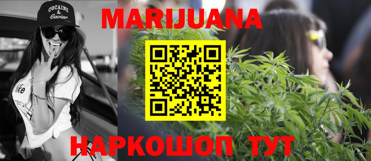 Каннабис сатива Солнечногорск